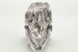 Carved Amethyst Dinosaur Crystal Skull - Ferocious! #227046-2